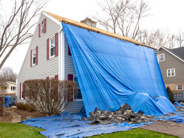 Best Stone Veneer Siding  in Luxora, AR