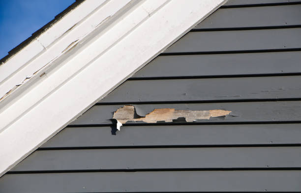 Best Siding Removal and Disposal  in Luxora, AR