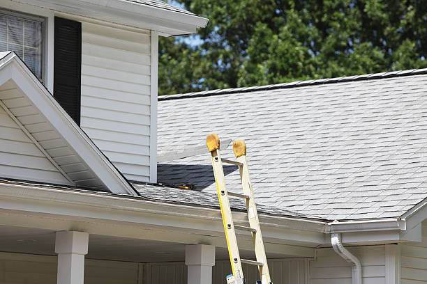 Best Stucco Siding  in Luxora, AR